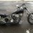 alleycat3677