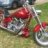 wolfdog107